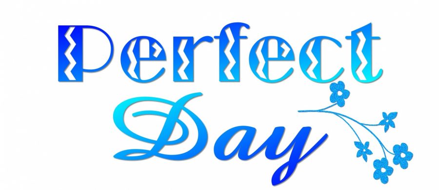 What is Your Perfect Day