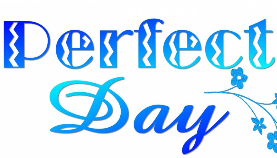What is Your Perfect Day