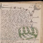 Mystery of The Voynich