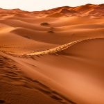 The Legendary Dry Land of the Saudis: Saving the Desert