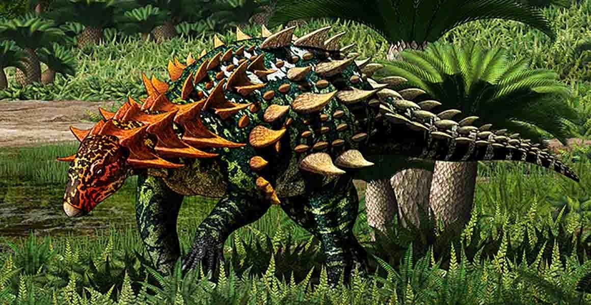 New Species Of Armored Dinosaurs Discovered In China