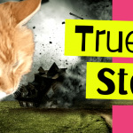 Twister, The Cat Who Survived a Tornado (True Story)