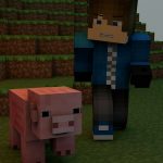 Minecraft Questions