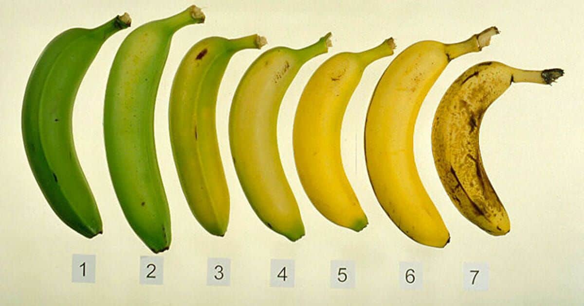 This is What’s Up With Bruised Bananas