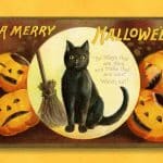Why Black Cats Are Associated With Halloween?