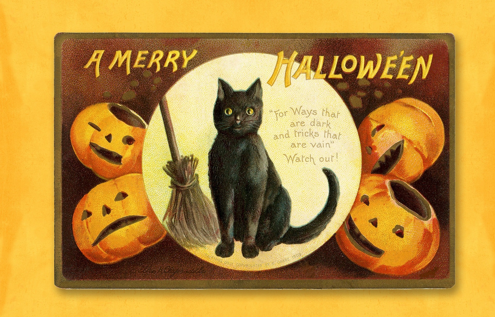 Why Black Cats Are Associated With Halloween?