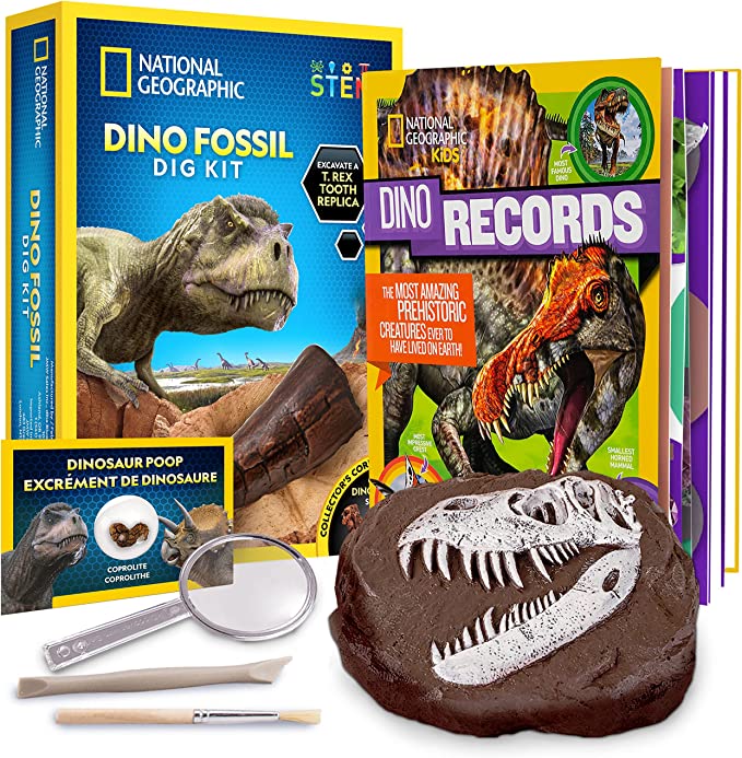 National Geographic Dino Dig Kit & Dinosaur Book
