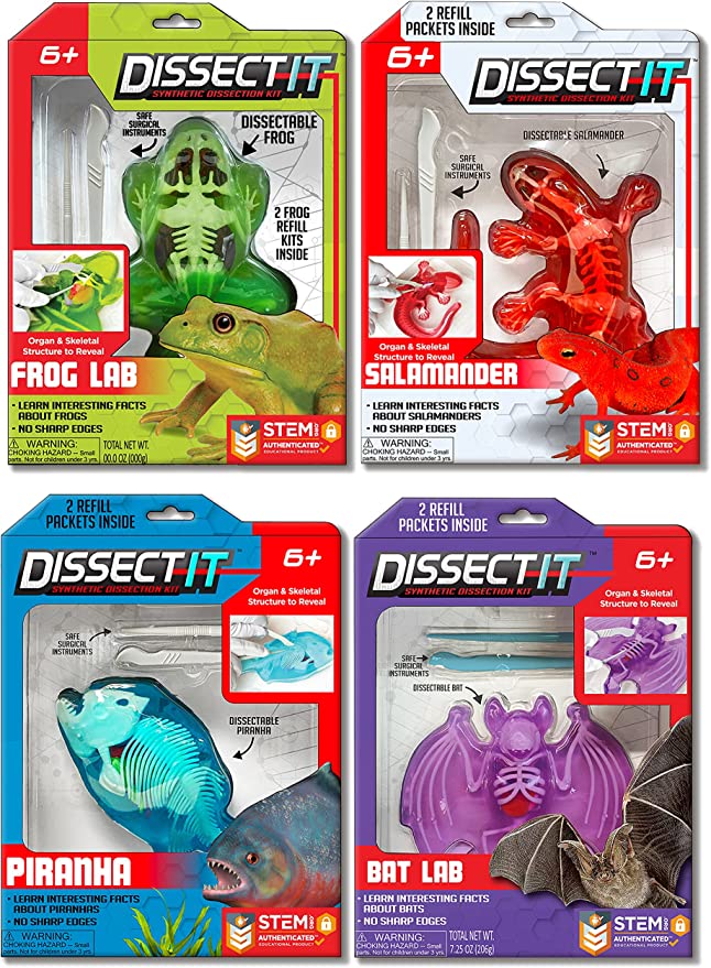 Dissect-It Simulated Synthetic Lab Dissection STEM Toy