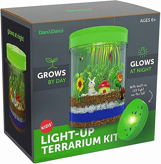 Light-Up Terrarium Kit 