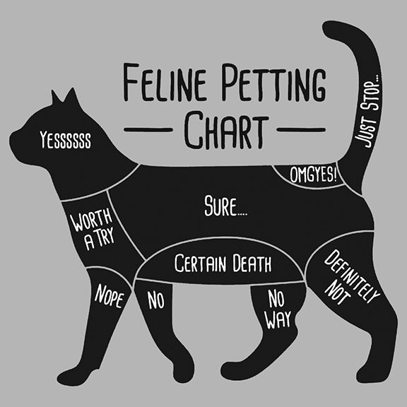 My Cat Blog #1: How to Pet a Cat.