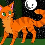 Warrior Cats Group