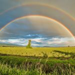 Fun Facts About Rainbows That You Might Not Know