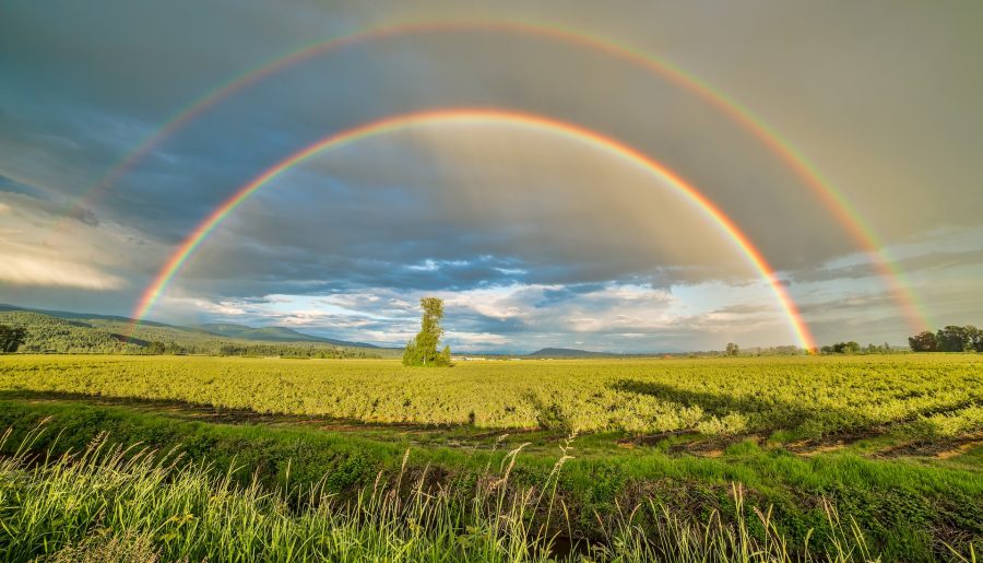 Fun Facts About Rainbows That You Might Not Know