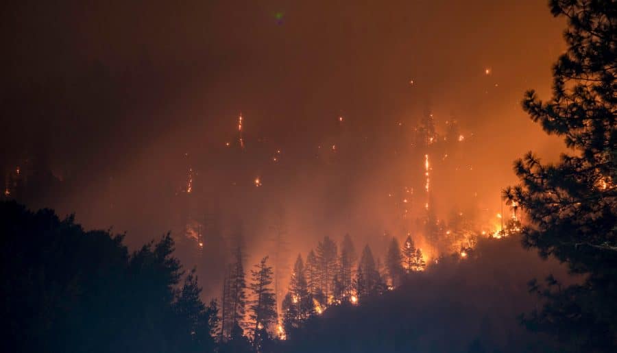 What Causes Wildfires and How to Prevent it?