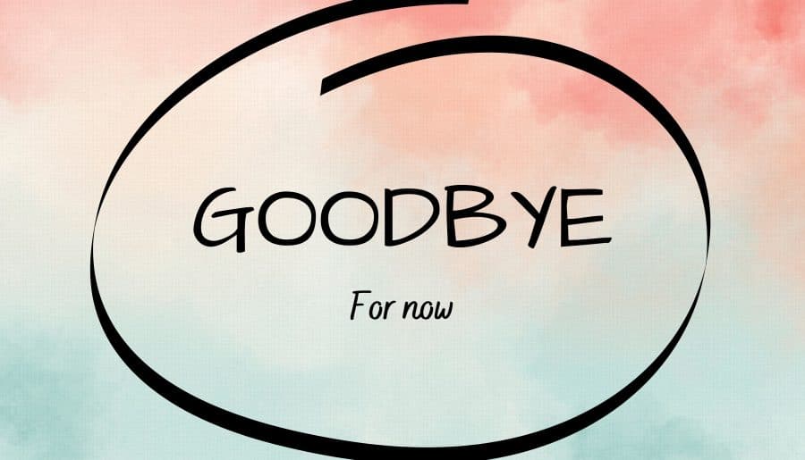 Goodbye! ( for now)