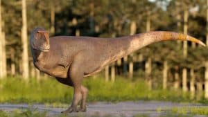 Scientists Have Unearthed a New Dinosaur with Shorter Arms Than a T.Rex
