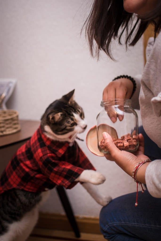 a woman is holding a wine glass with a cat in it