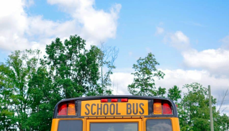 school bus near green trees under cloudy sky during daytime