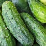 green cucumber lot