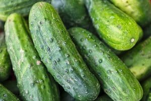 Cucumbers: A Fruit or Veggie?